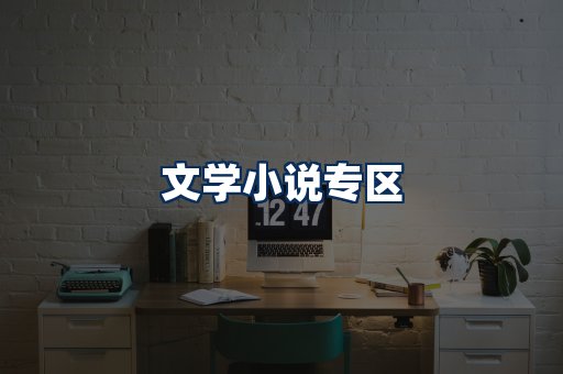 文学小说PDF展示